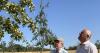 Hereford cider orchard earns National Plant Collection status