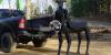 Meet Threehalves: The viral robot designed for Earth's most dangerous environments