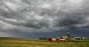 Economic Pulse: As losses deepen, action needed to help stabilize the ag economy