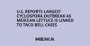 U.S. Reports Largest Cyclospora Outbreak as Mexican Lettuce Is Linked to Taco Bell Cases