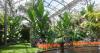 Group recruiting for Road Scholar Philadelphia garden tour Oct. 4-9