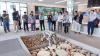 Madayn organises promotional roadshow in China to boost partnerships and attract AI investments 