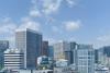 Only one in 10 South Korean listed firms discloses nature-related risks, study finds