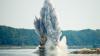Heatwave forces Romania to blast Danube river to help nuclear plant