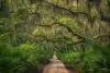 Editor’s Journal: Cumberland Island holds one of America’s most treasured love stories