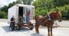 Lee the Horselogger travels through Keokuk