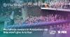 WorldPride revelers in Amsterdam say they won’t give in to fear