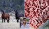 I'm an expert in food safety. Here's what you need to know about claims about 'horse meat in mince'... and the 'financial incentive' at play by producers