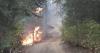Washington insurance order shields wildfire victims from policy cancellations
