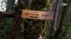 Tergola to become model for Red Panda conservation-led ecotourism