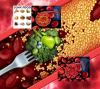 How Long-Standing Scientific Data Indicates That Fiber Can Counteract the Effects of an Imperfect Diet and Be a Ticket to Food Freedom