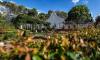 Glorious new option for travellers heading to Joburg
