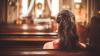 Pastor mourns 'precious' missionary after body discovered in suitcase in Greece