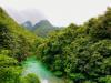China plants 78 billion trees: warning of danger