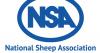 New transport rules could hit sheep sales, breeding movements and abattoirs