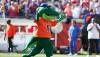 Get Gators Online for 75% off !!!