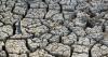 UK CEOs sound the alarm over serious supply chain vulnerabilities