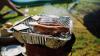 Major UK retailers PULL disposable BBQs from shelves to avoid wildfire risk