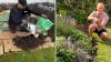 Cardboard helped turn one homeowner's lawn into a flower bed in just 6 months