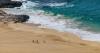 The lesser known island close to Lanzarote home to beach visitors call 'most beautiful'
