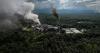 Banks provide billions in "sustainable" loans to deforestation-linked palm oil firms