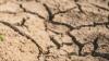 Baysal: Climate justice requires peace and food sovereignty - Part Two