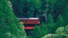 I took a £14 luxury train to an uncrowded, mountainous area of Japan