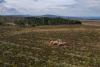 Vattenfall picks Natural Power in Scotland