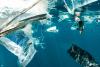 Deep-sea snails and mussels in Indian and Pacific Oceans contain microplastics: study