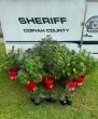Copiah County man sentenced to 10 years after marijuana grow operation discovered