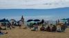 More jellyfish popping up at Ocean City beaches. Here's why Marine biologist Dr. Ellen Prager explains why Ocean City's waters are seeing more sea nettles this summer, what causes jellyfish blooms, how to treat a sting.