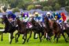 South Korean Horse Racing Body, Top Casino to Support Gambling Addiction Treatment Drives