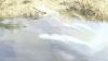 Mystery Fish Kill Prompts Environmental Investigation in Belize River Valley