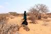 World Food Programme ramps up preparedness and response plans as El Niño threatens to push tens of millions into acute hunger