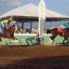 Jamaica must note racing’s new global playbook