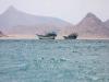 Business News | Shipping Through Hormuz Declines as Red Sea Traffic Drops to Lowest Since June 1: S&P Global