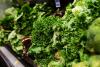 America’s biggest parasite outbreak forces food giant to ditch Mexican lettuce