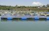 L. Victoria commercial fish farmers contest state position on levies
