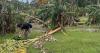 UOG Soil Lab offers free post-storm soil testing for farmers