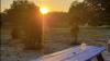 Bushnell ranch only Florida site to make Hipcamp's national list