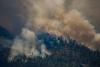 As wildfires rage, it’s a moment for carbon removal technology to shine