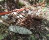 WWII Legacy Continues: From POW/MIA Missions to UXO Clearance