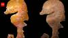 In 2006, a tiny deep-reef fish was pulled from deep water off South Australia and misidentified; nearly 20 years later, scientists recognised a new species