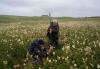 Opponents challenge latest Coul Links environmental data
