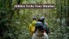 Monsoon Travel 2026: Skip The Crowds! Discover These Hidden Treks Near Mumbai For Your Next Rainy-Day Adventure