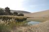 Africa and China Advance Great Green Walls as Continental Wildlife Corridors