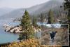 Tree poisoner on the loose in Lake Tahoe after spate of attacks at popular beach cove