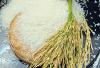 Cambodia Earns US$415 Million from Milled Rice Exports in First Seven Months