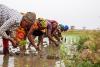 Africa Women’s Day: Urban-rural divide deepens inequality  for African women, Afrobarometer survey shows