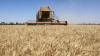 World faces fresh food price surge, FAO warns